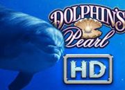 Dolphins-Pearl-HD