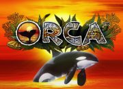 Orca