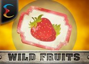 Wild Fruits